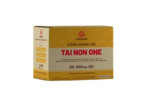 Giống chanh dây Tainon One