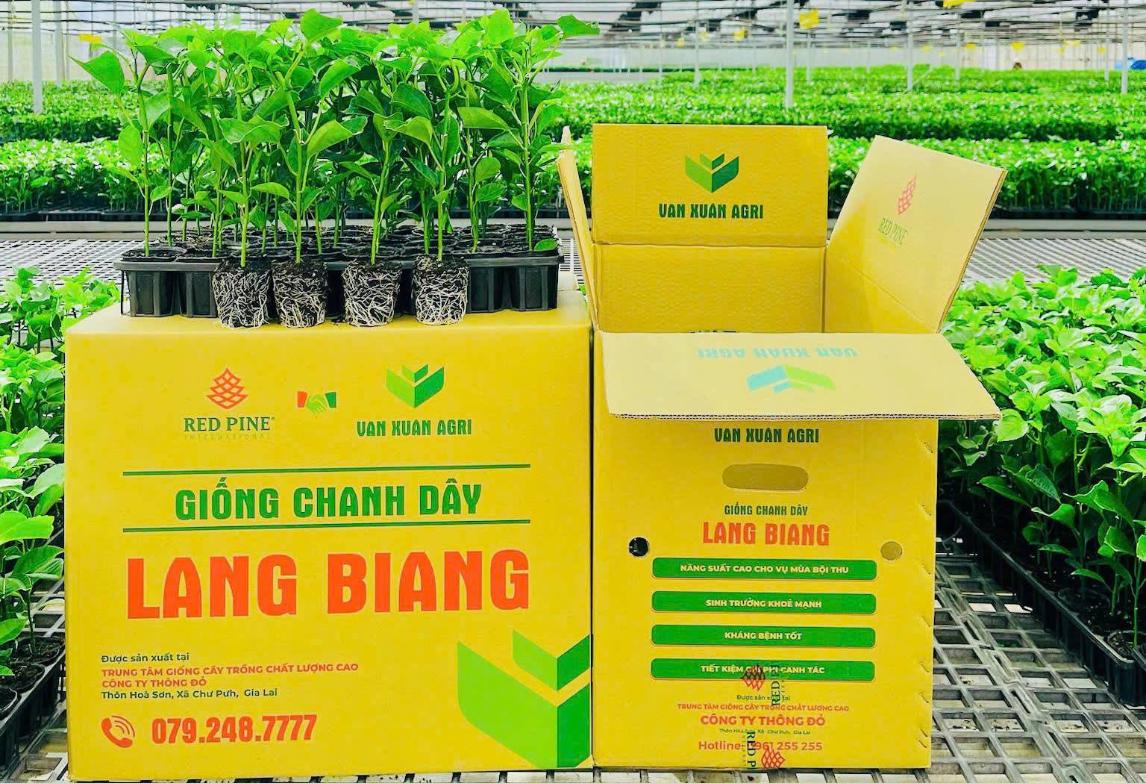 snapedit_1760688415367_1