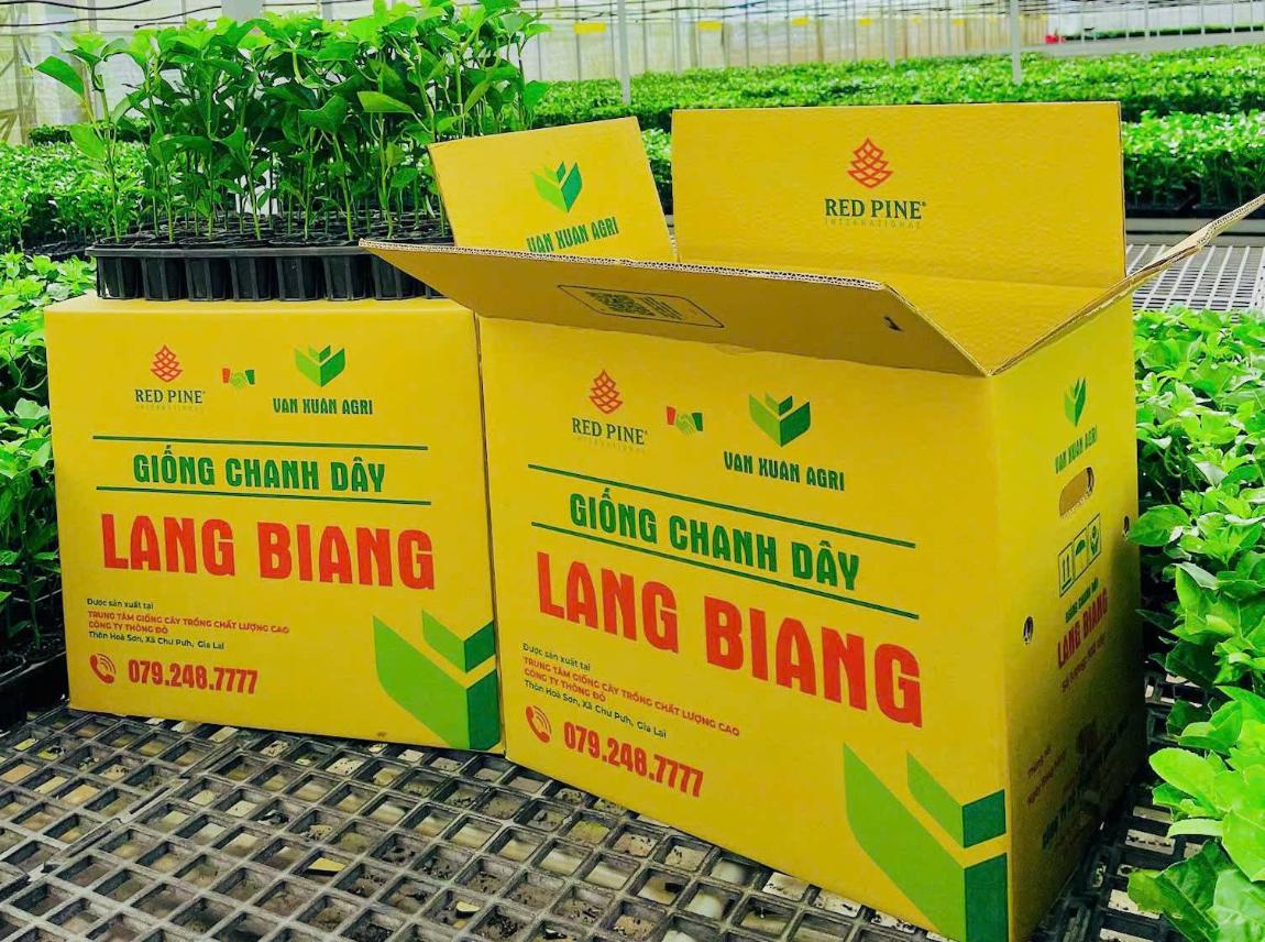 snapedit_1760688415367_2